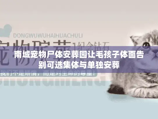 南城宠物尸体安葬园让毛孩子体面告别可选集体与单独安葬