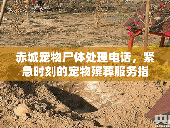 赤城宠物尸体处理电话,紧急时刻的宠物殡葬服务指南? 赤城宠物尸体处理电话,紧急时刻的宠物殡葬服务指南?