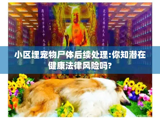 小区埋宠物尸体后续处理:你知潜在健康法律风险吗?