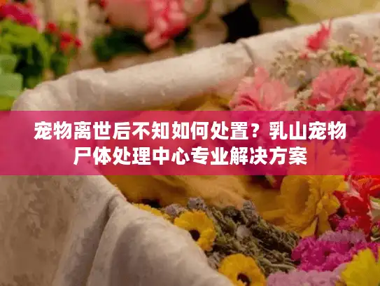 宠物离世后不知如何处置？乳山宠物尸体处理中心专业解决方案