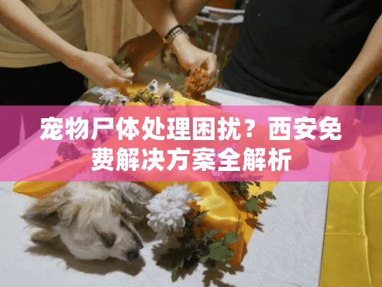 宠物尸体处理困扰?西安免费解决方案全解析 宠物尸体处理困扰?西安免费解决方案全解析