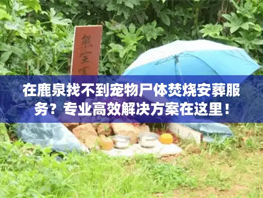 在鹿泉找不到宠物尸体焚烧安葬服务？专业高效解决方案在这里！