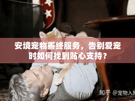 安境宠物善终服务，告别爱宠时如何找到贴心支持？