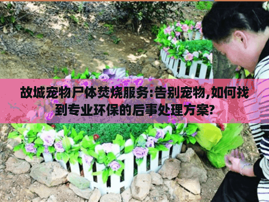 故城宠物尸体焚烧服务:告别宠物,如何找到专业环保的后事处理方案? 故城宠物尸体焚烧服务:告别宠物,如何找到专业环保的后事处理方案?