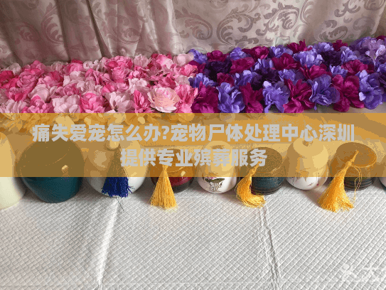 痛失爱宠怎么办?宠物尸体处理中心深圳提供专业殡葬服务