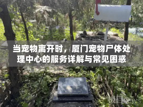 当宠物离开时,厦门宠物尸体处理中心的服务详解与常见困惑 当宠物离开时,厦门宠物尸体处理中心的服务详解与常见困惑