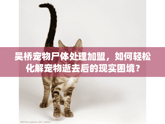 吴桥宠物尸体处理加盟，如何轻松化解宠物逝去后的现实困境？