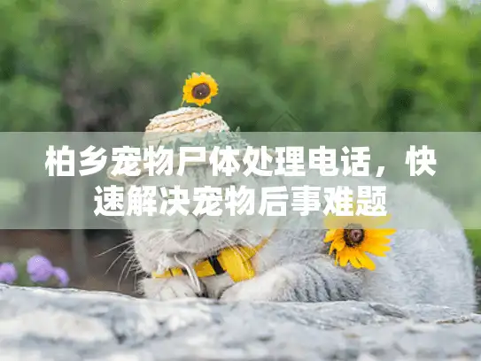 柏乡宠物尸体处理电话，快速解决宠物后事难题