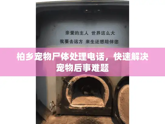 柏乡宠物尸体处理电话，快速解决宠物后事难题