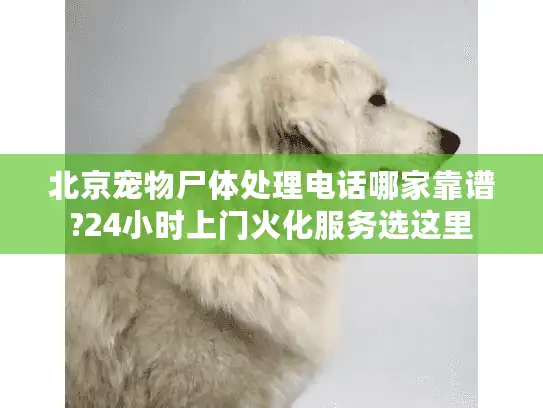 北京宠物尸体处理电话哪家靠谱?24小时上门火化服务选这里 北京宠物尸体处理电话哪家靠谱?24小时上门火化服务选这里