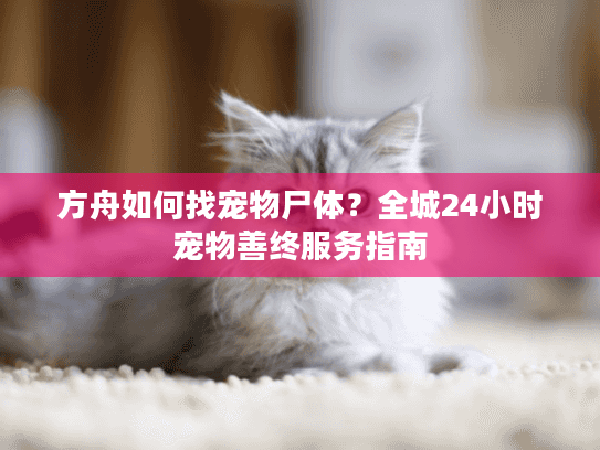 方舟如何找宠物尸体？全城24小时宠物善终服务指南