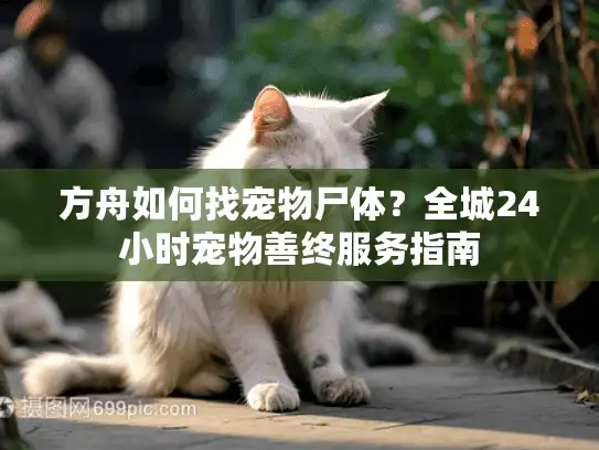 方舟如何找宠物尸体？全城24小时宠物善终服务指南