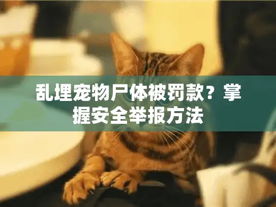 乱埋宠物尸体被罚款?掌握安全举报方法 乱埋宠物尸体被罚款?掌握安全举报方法