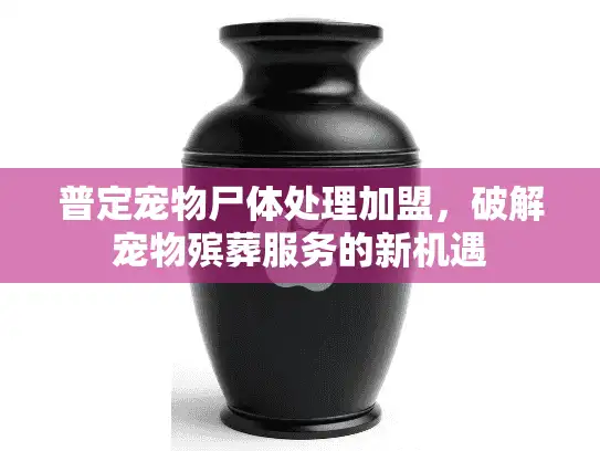 普定宠物尸体处理加盟,破解宠物殡葬服务的新机遇 普定宠物尸体处理加盟,破解宠物殡葬服务的新机遇