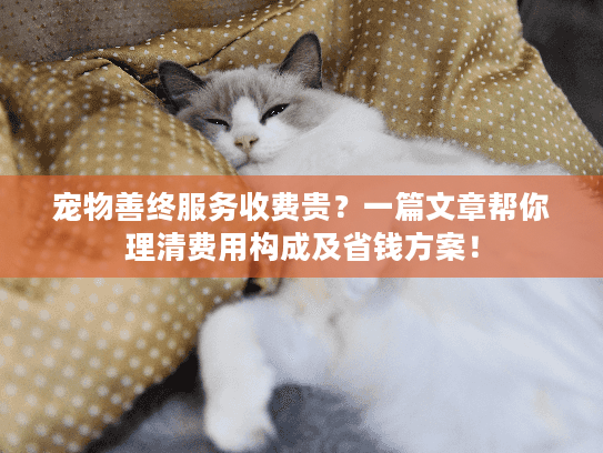 宠物善终服务收费贵？一篇文章帮你理清费用构成及省钱方案！
