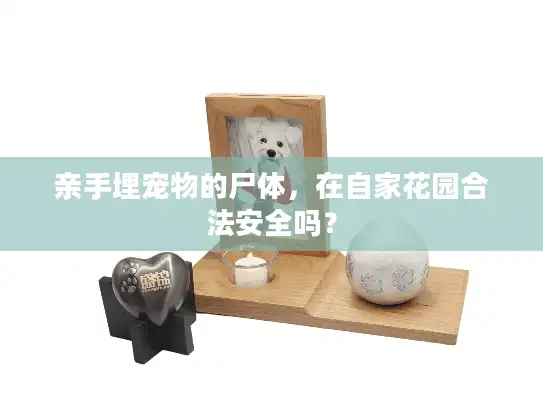 亲手埋宠物的尸体，在自家花园合法安全吗？