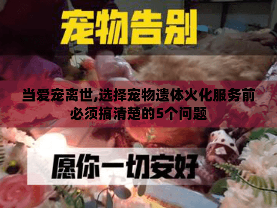 当爱宠离世,选择宠物遗体火化服务前必须搞清楚的5个问题