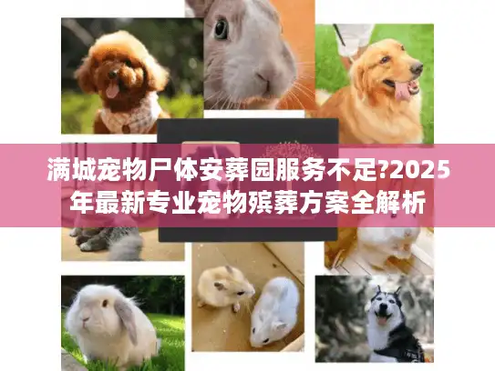 满城宠物尸体安葬园服务不足?2025年最新专业宠物殡葬方案全解析