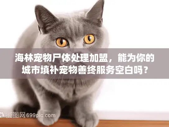 海林宠物尸体处理加盟，能为你的城市填补宠物善终服务空白吗？