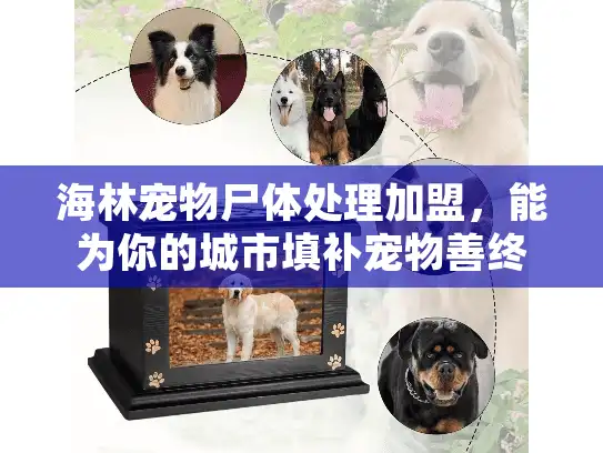 海林宠物尸体处理加盟，能为你的城市填补宠物善终服务空白吗？