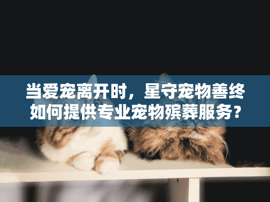 当爱宠离开时，星守宠物善终如何提供专业宠物殡葬服务？