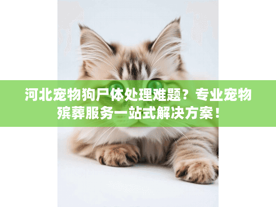 河北宠物狗尸体处理难题？专业宠物殡葬服务一站式解决方案！