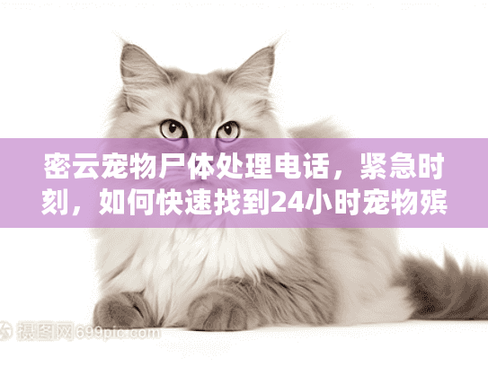 密云宠物尸体处理电话，紧急时刻，如何快速找到24小时宠物殡葬服务