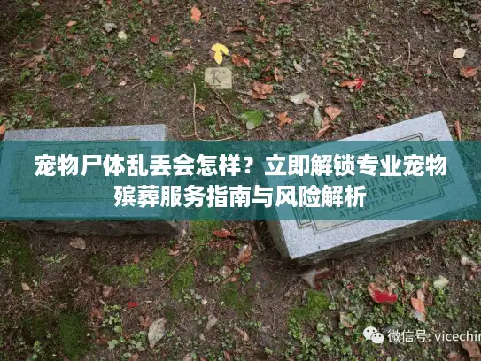 宠物尸体乱丢会怎样？立即解锁专业宠物殡葬服务指南与风险解析