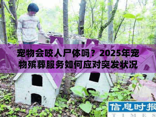 宠物会咬人尸体吗？2025年宠物殡葬服务如何应对突发状况