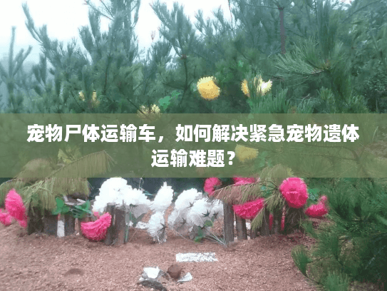 宠物尸体运输车,如何解决紧急宠物遗体运输难题? 宠物尸体运输车,如何解决紧急宠物遗体运输难题?
