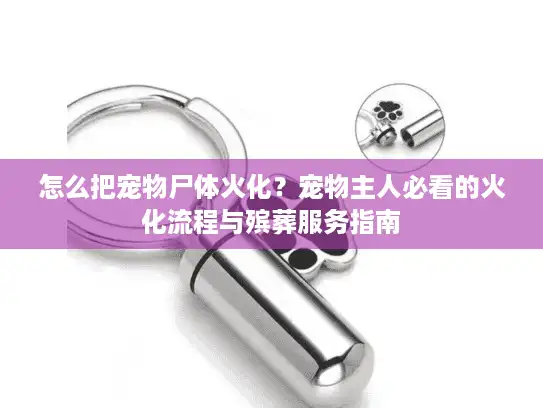 怎么把宠物尸体火化？宠物主人必看的火化流程与殡葬服务指南