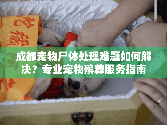 成都宠物尸体处理难题如何解决？专业宠物殡葬服务指南