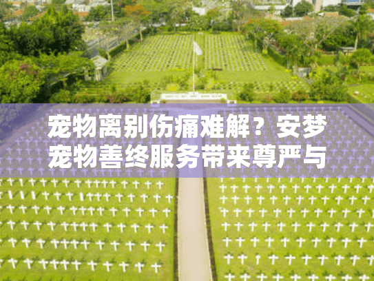 宠物离别伤痛难解?安梦宠物善终服务带来尊严与安慰 宠物离别伤痛难解?安梦宠物善终服务带来尊严与安慰
