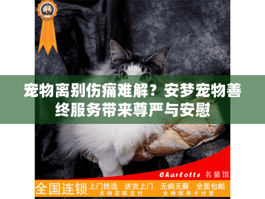 宠物离别伤痛难解?安梦宠物善终服务带来尊严与安慰 宠物离别伤痛难解?安梦宠物善终服务带来尊严与安慰