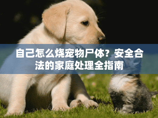 自己怎么烧宠物尸体？安全合法的家庭处理全指南