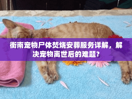 衡南宠物尸体焚烧安葬服务详解，解决宠物离世后的难题？