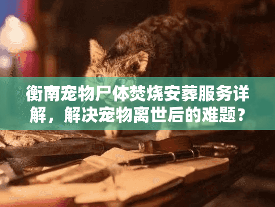 衡南宠物尸体焚烧安葬服务详解，解决宠物离世后的难题？