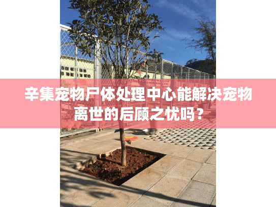 辛集宠物尸体处理中心能解决宠物离世的后顾之忧吗? 辛集宠物尸体处理中心能解决宠物离世的后顾之忧吗?