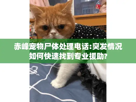 赤峰宠物尸体处理电话:突发情况如何快速找到专业援助? 赤峰宠物尸体处理电话:突发情况如何快速找到专业援助?