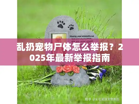 乱扔宠物尸体怎么举报？2025年最新举报指南