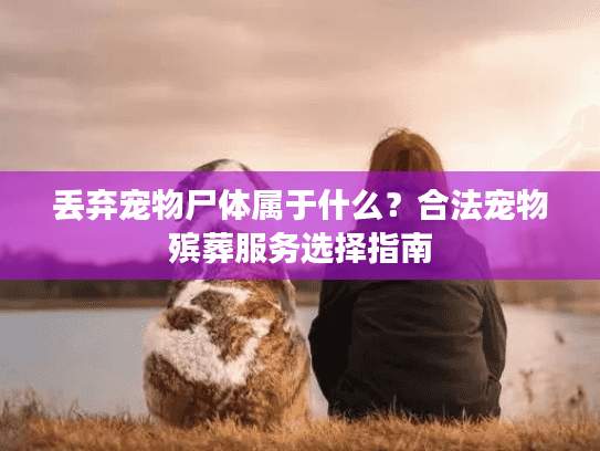 丢弃宠物尸体属于什么？合法宠物殡葬服务选择指南