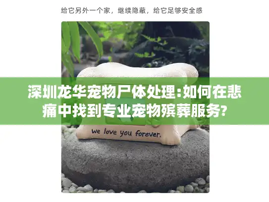 深圳龙华宠物尸体处理:如何在悲痛中找到专业宠物殡葬服务? 深圳龙华宠物尸体处理:如何在悲痛中找到专业宠物殡葬服务?