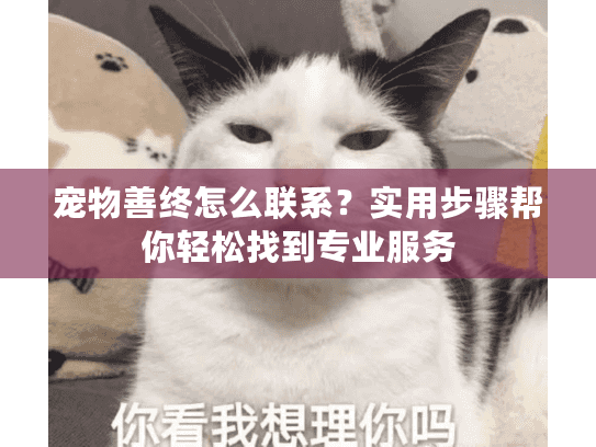 宠物善终怎么联系?实用步骤帮你轻松找到专业服务 宠物善终怎么联系?实用步骤帮你轻松找到专业服务