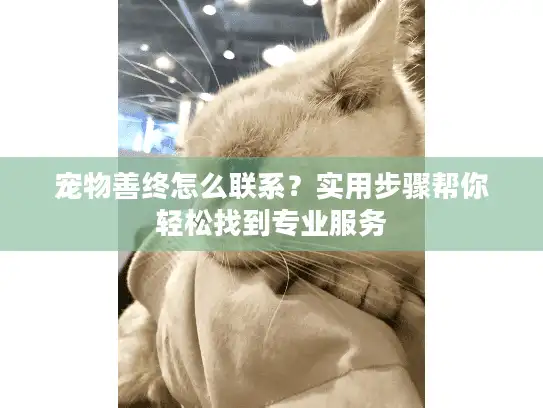 宠物善终怎么联系?实用步骤帮你轻松找到专业服务 宠物善终怎么联系?实用步骤帮你轻松找到专业服务