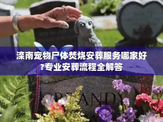 滦南宠物尸体焚烧安葬服务哪家好?专业安葬流程全解答 滦南宠物尸体焚烧安葬服务哪家好?专业安葬流程全解答