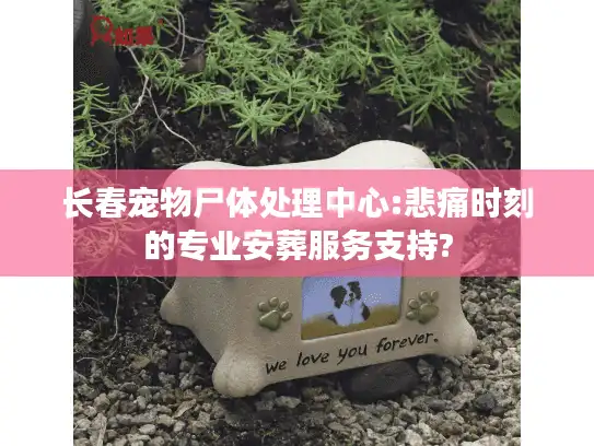 长春宠物尸体处理中心:悲痛时刻的专业安葬服务支持? 长春宠物尸体处理中心:悲痛时刻的专业安葬服务支持?