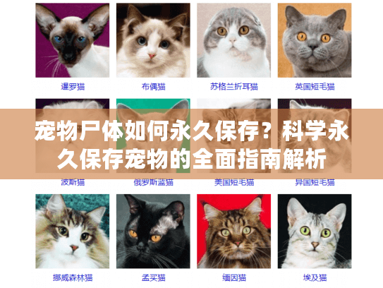 宠物尸体如何永久保存？科学永久保存宠物的全面指南解析