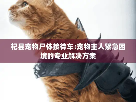 杞县宠物尸体接待车:宠物主人紧急困境的专业解决方案