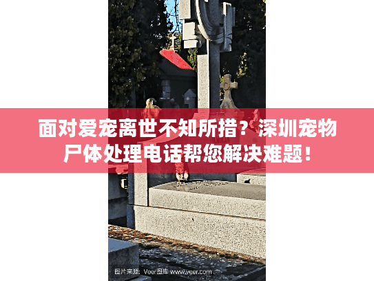 面对爱宠离世不知所措？深圳宠物尸体处理电话帮您解决难题！