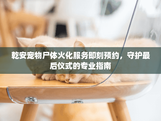 乾安宠物尸体火化服务即刻预约,守护最后仪式的专业指南 乾安宠物尸体火化服务即刻预约,守护最后仪式的专业指南